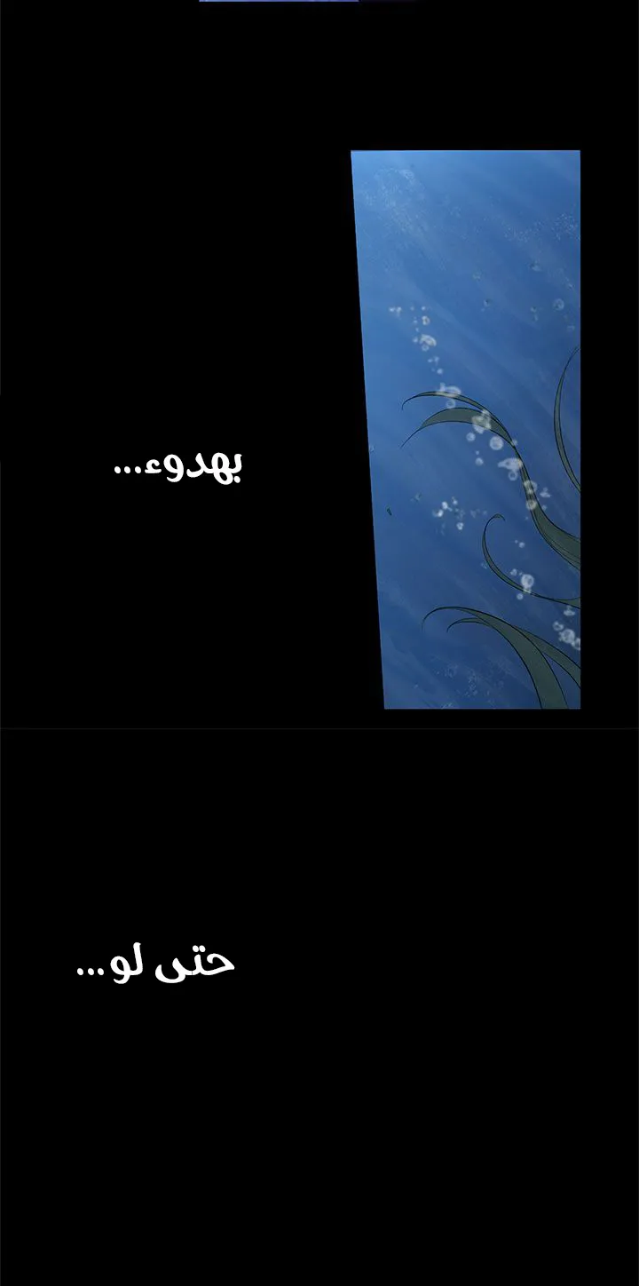 الصفحة 24 من 45