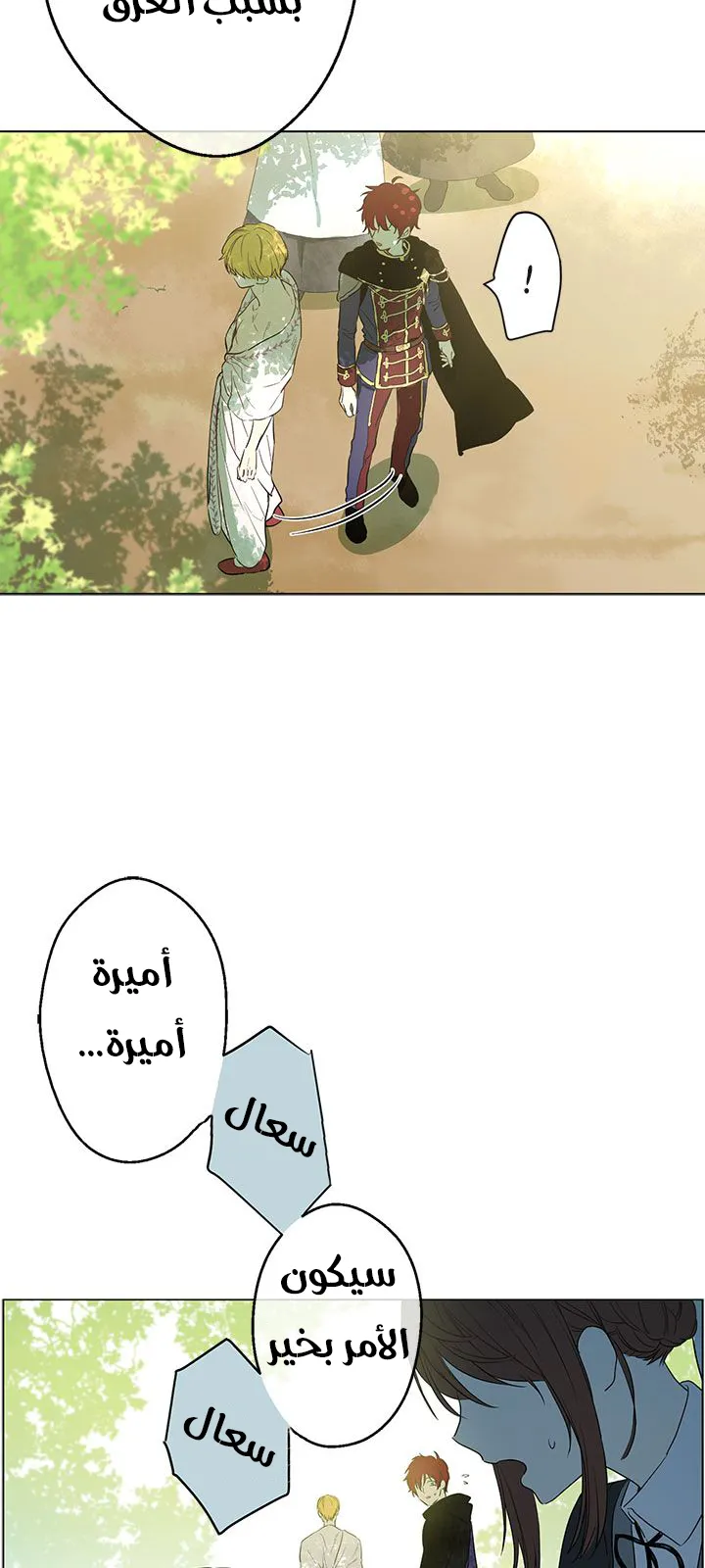 الصفحة 31 من 45