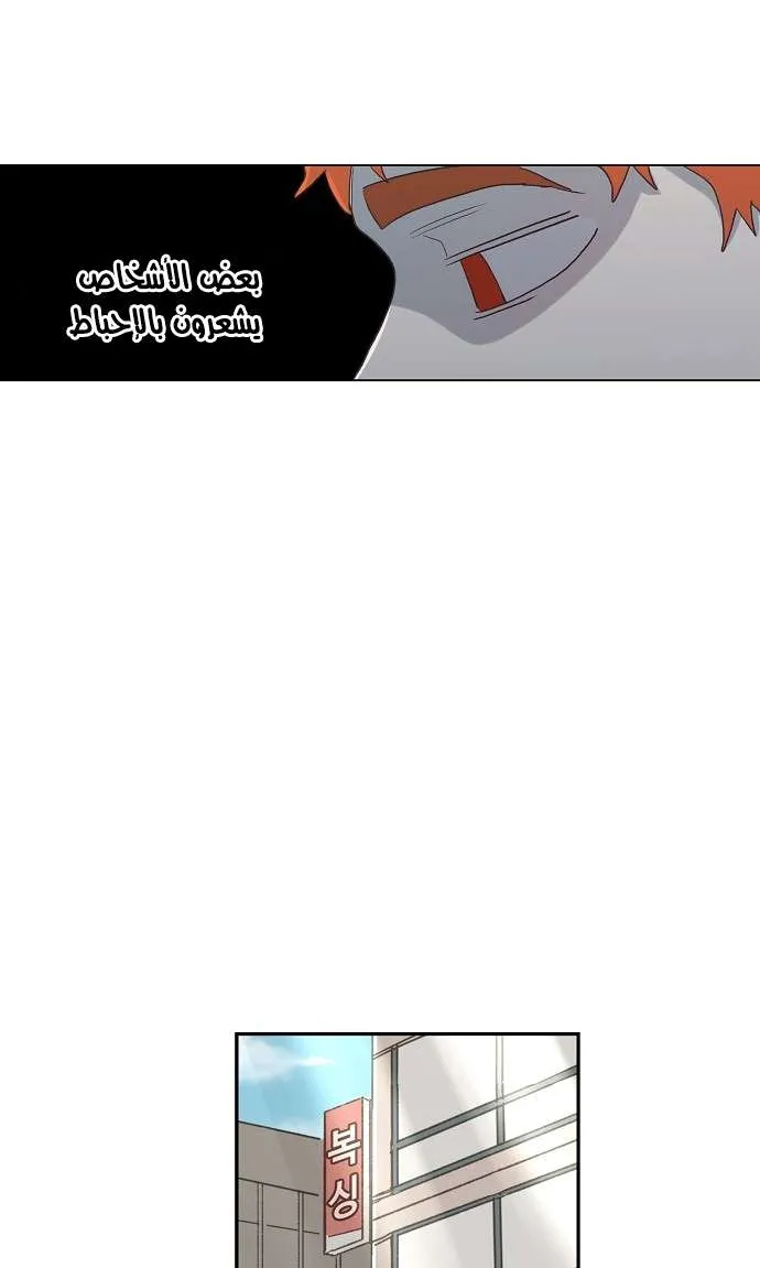 الصفحة 20 من 51