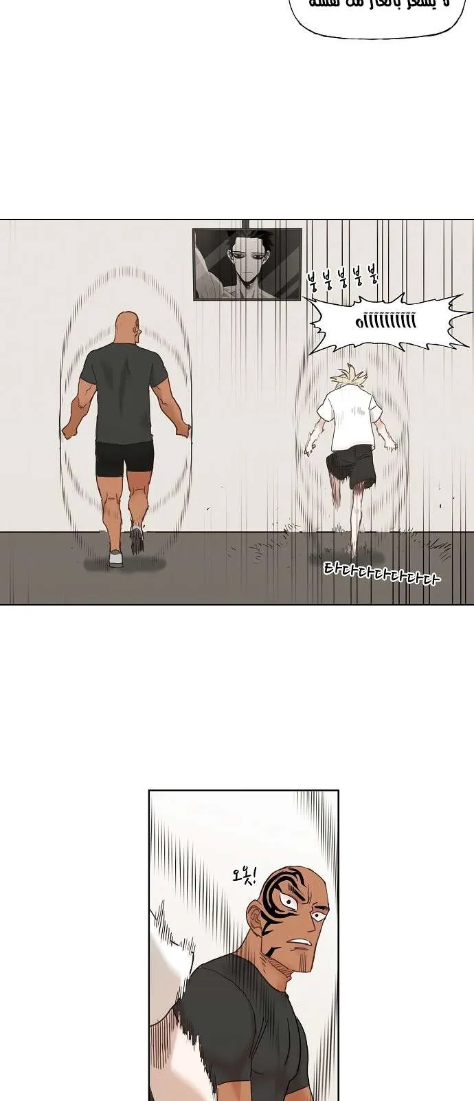 الصفحة 25 من 51