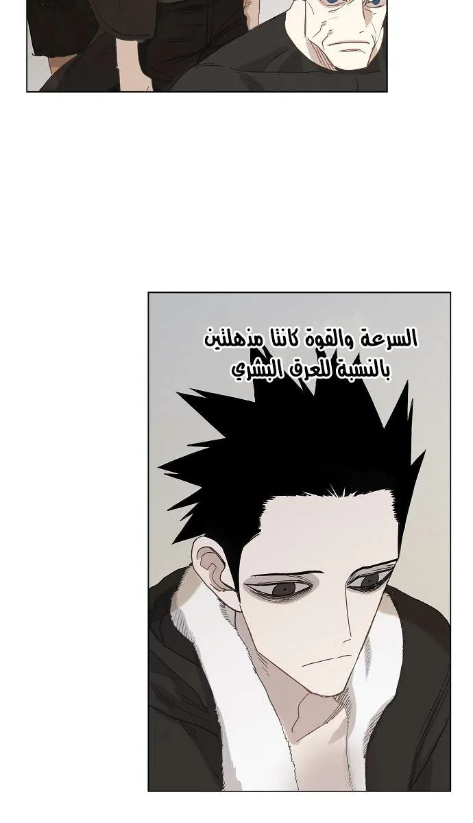 الصفحة 12 من 51