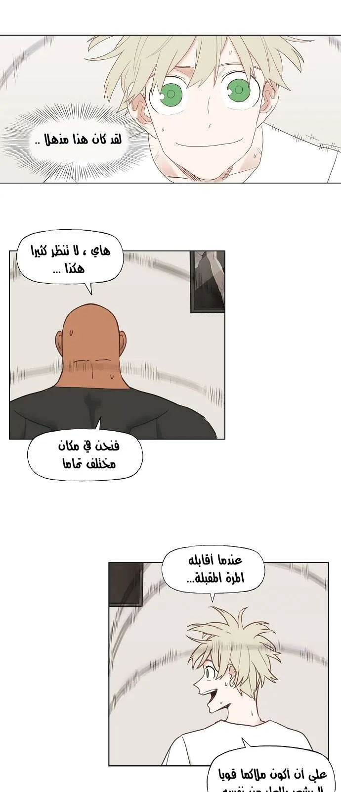 الصفحة 24 من 51