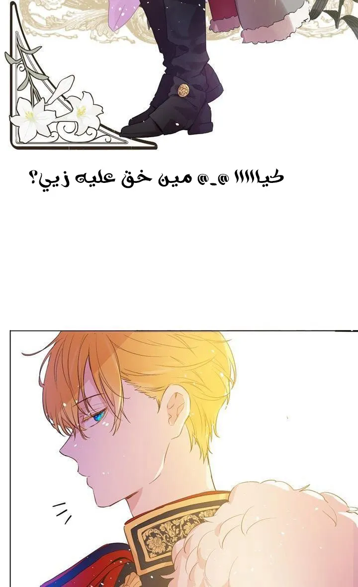 الصفحة 43 من 59