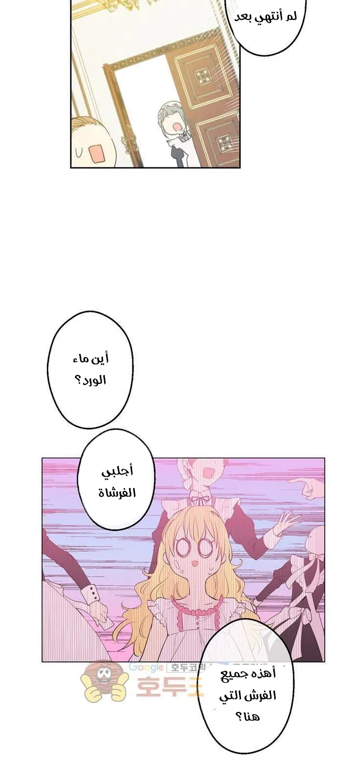 الصفحة 26 من 59