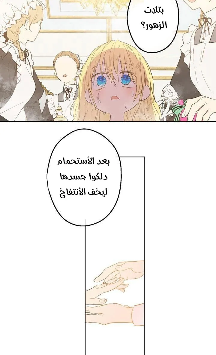 الصفحة 23 من 59