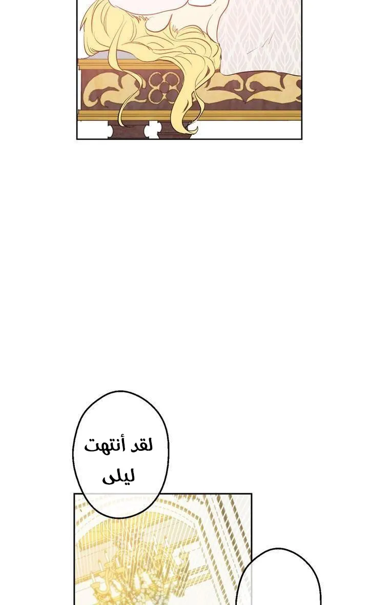الصفحة 25 من 59