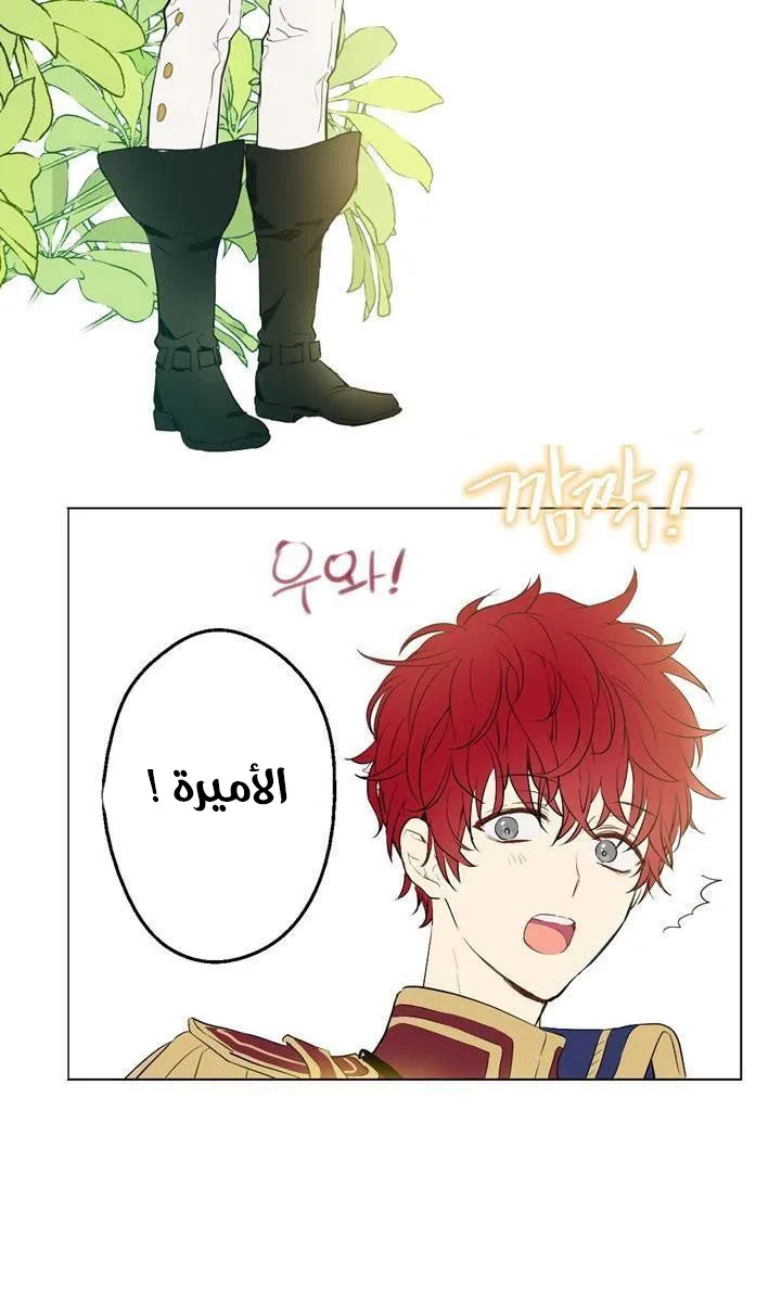 الصفحة 38 من 59