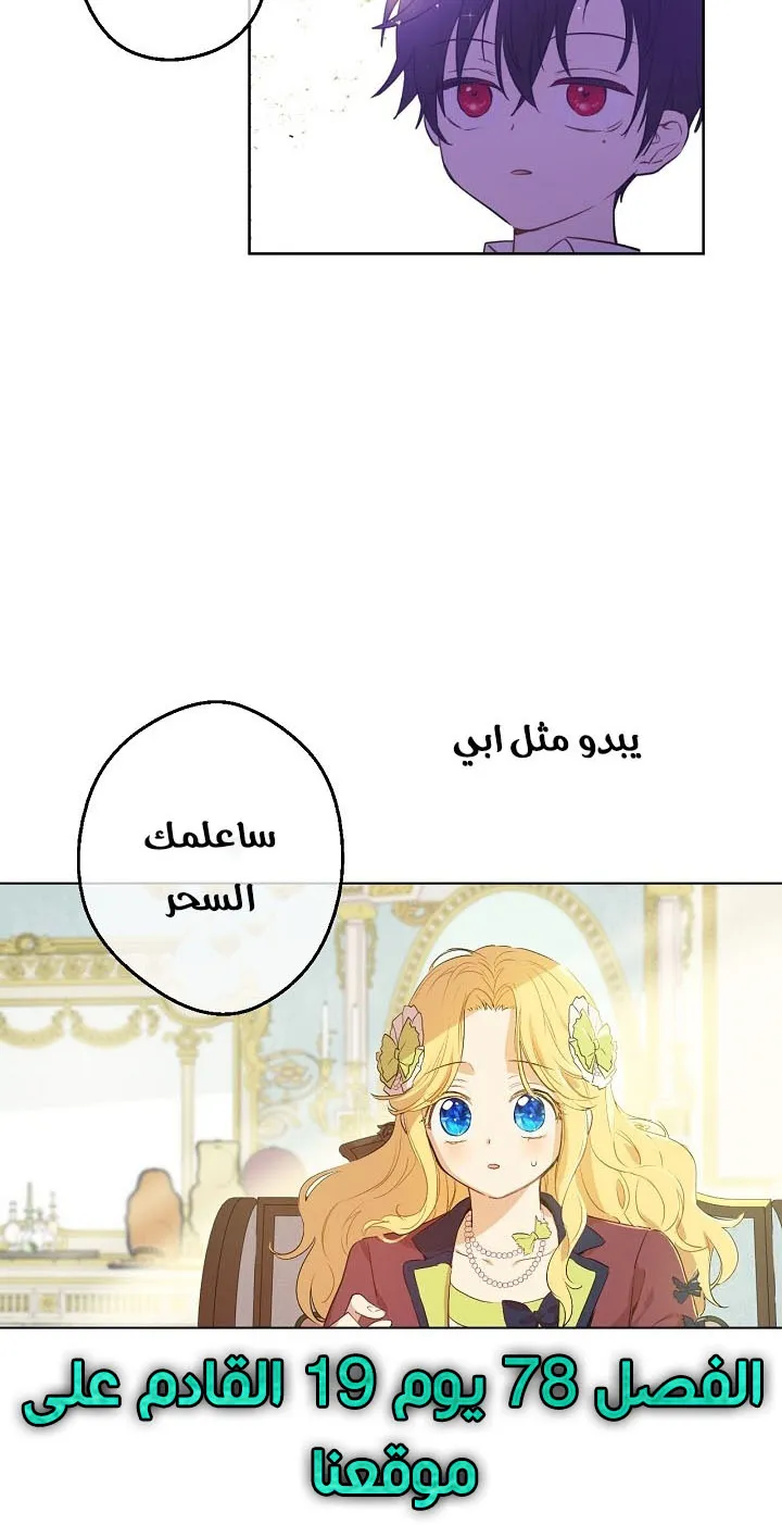 الصفحة 28 من 31