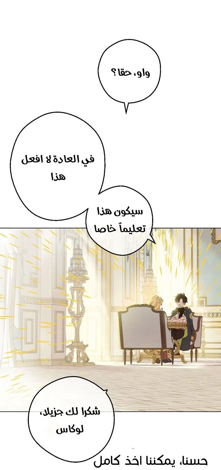 الصفحة 29 من 31