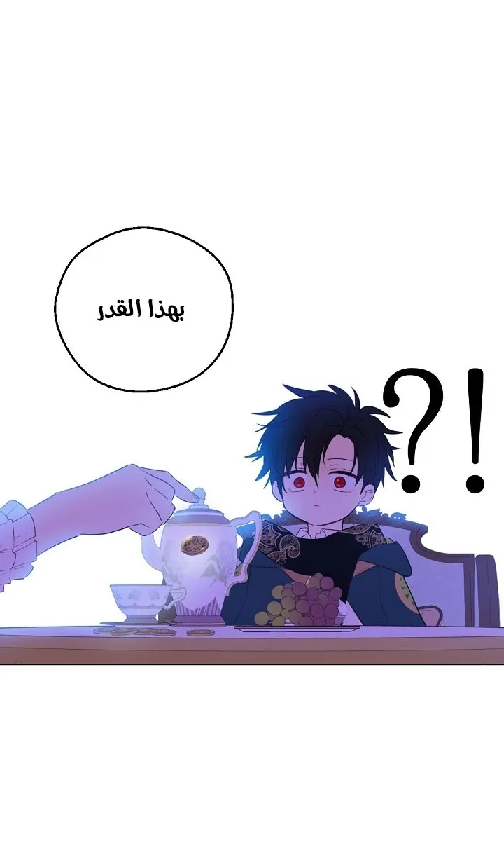 الصفحة 25 من 31