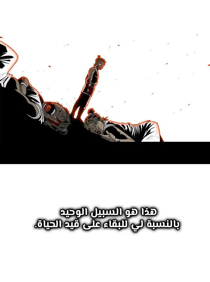 الصفحة 39 من 88