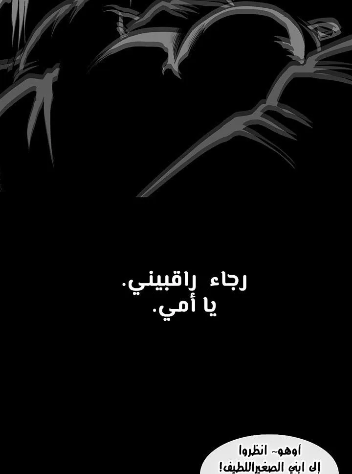 الصفحة 41 من 88