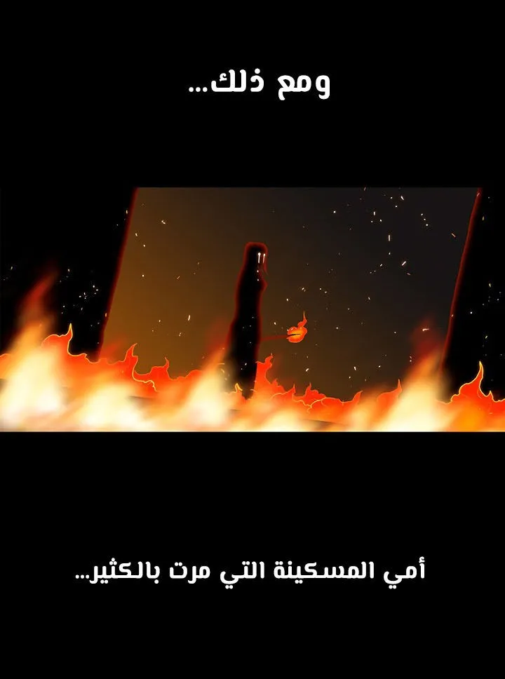 الصفحة 31 من 88