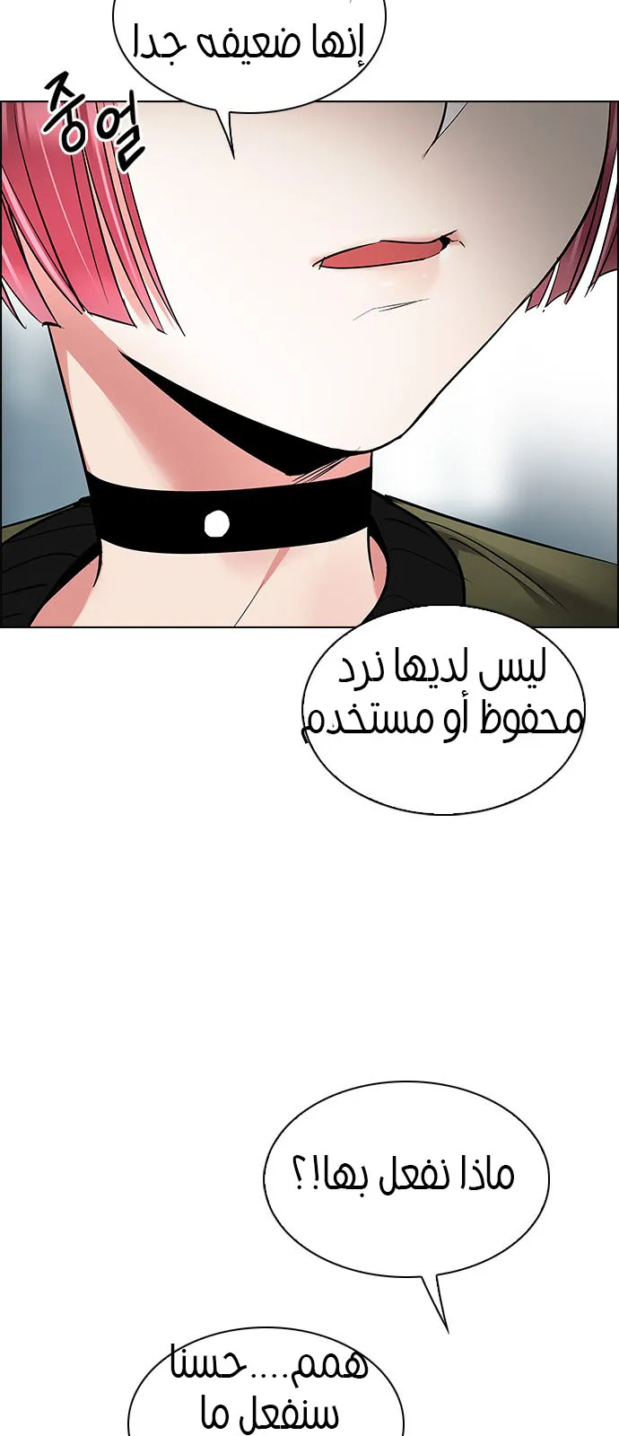 الصفحة 24 من 48