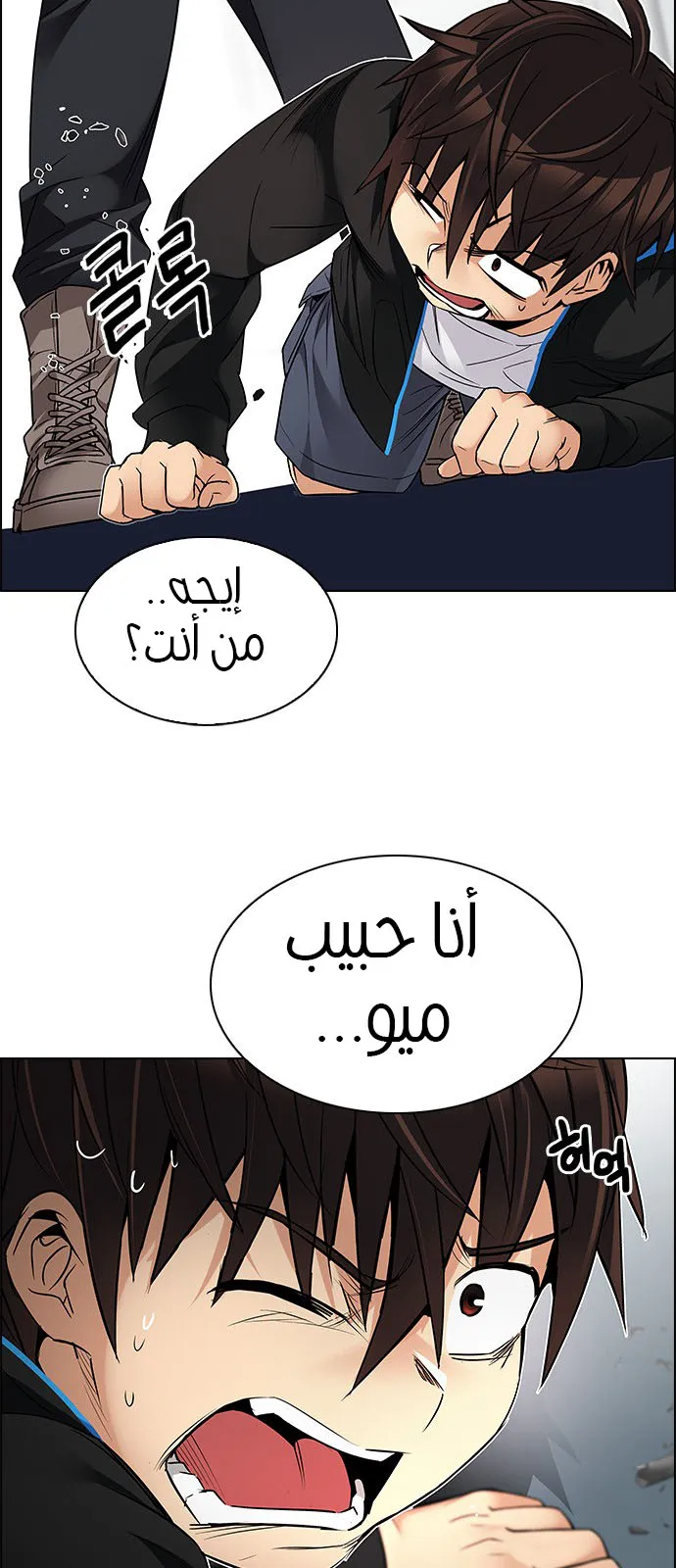 الصفحة 11 من 48