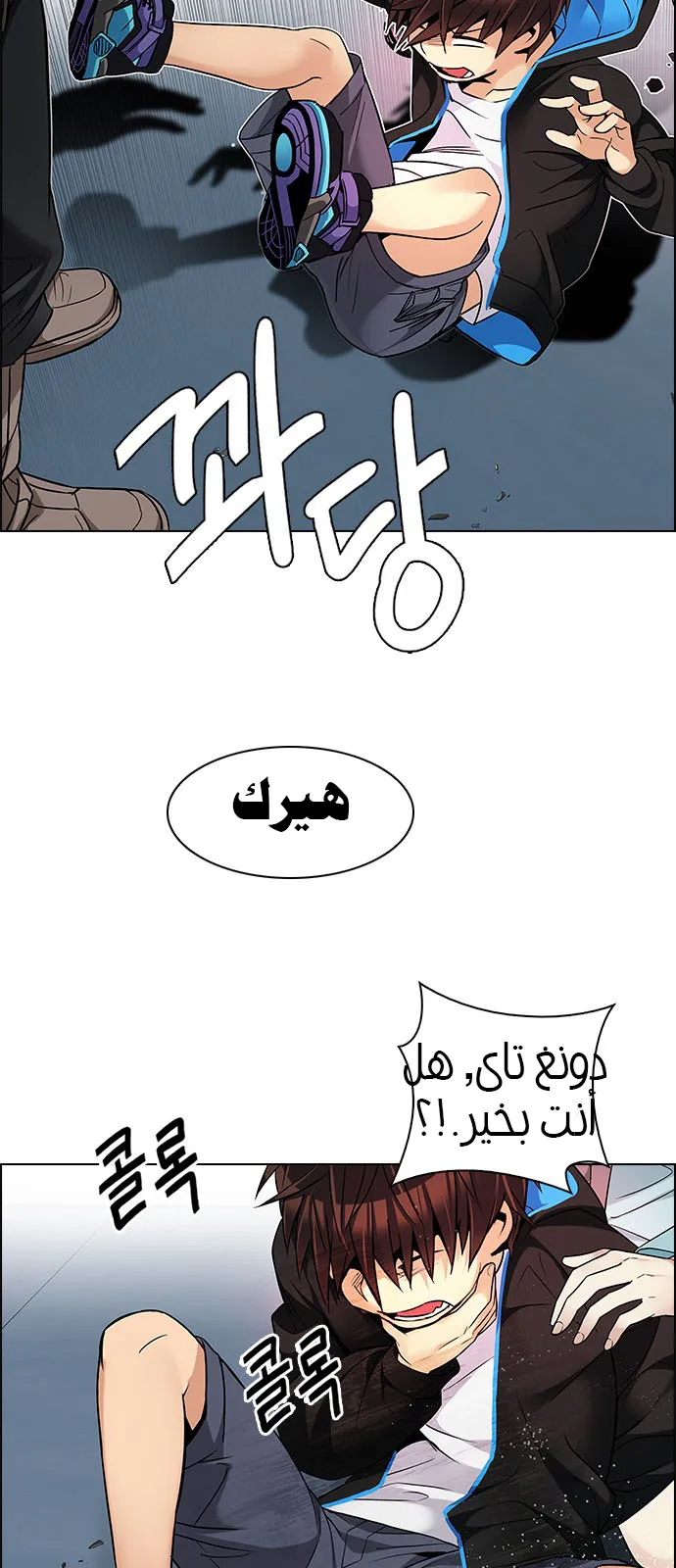 الصفحة 17 من 48