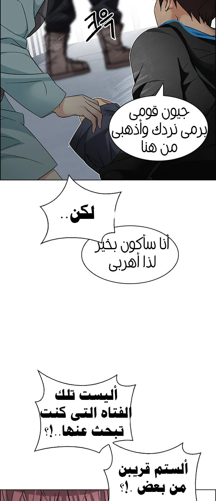 الصفحة 19 من 48