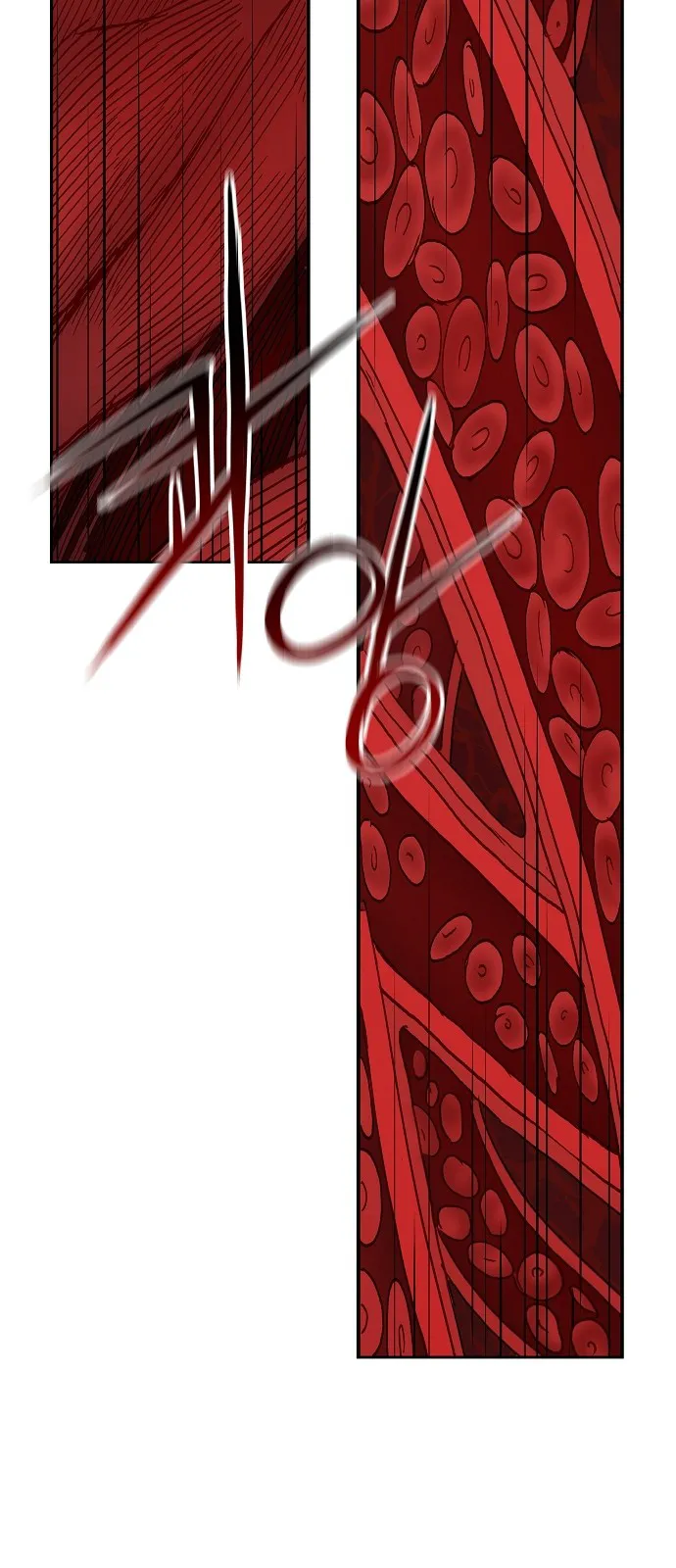 الصفحة 48 من 61