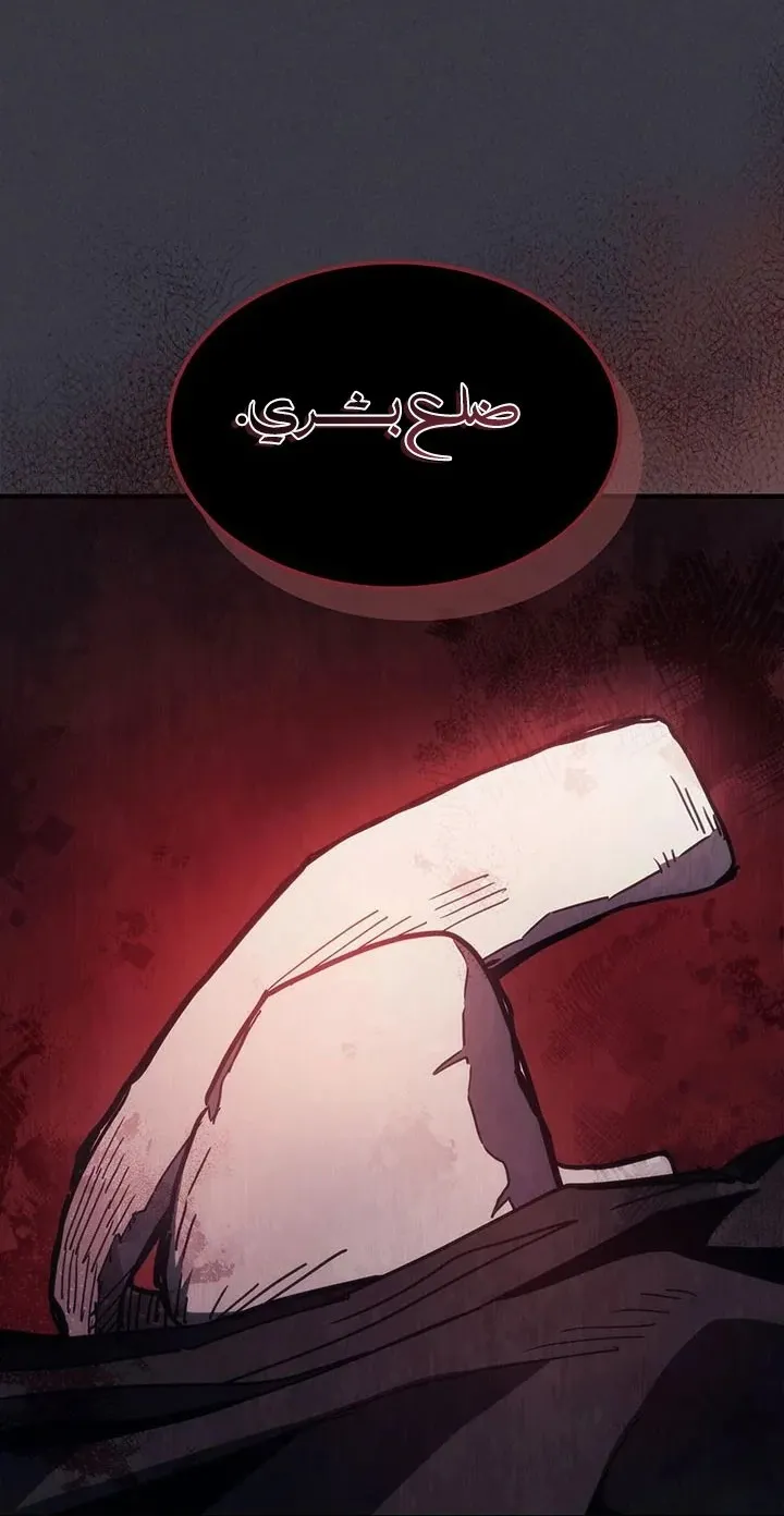 الصفحة 56 من 78