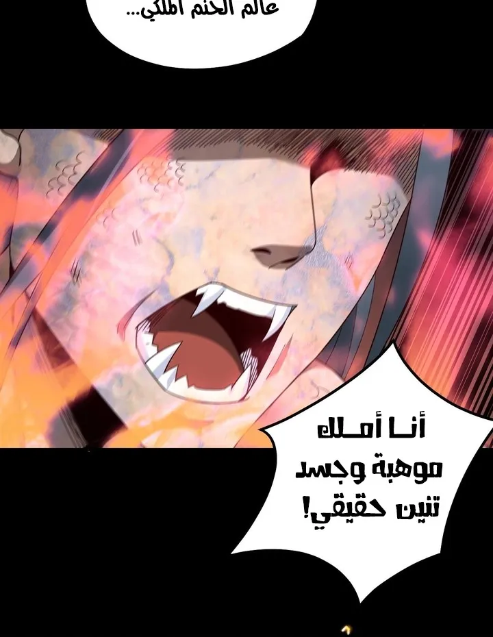 الصفحة 43 من 47