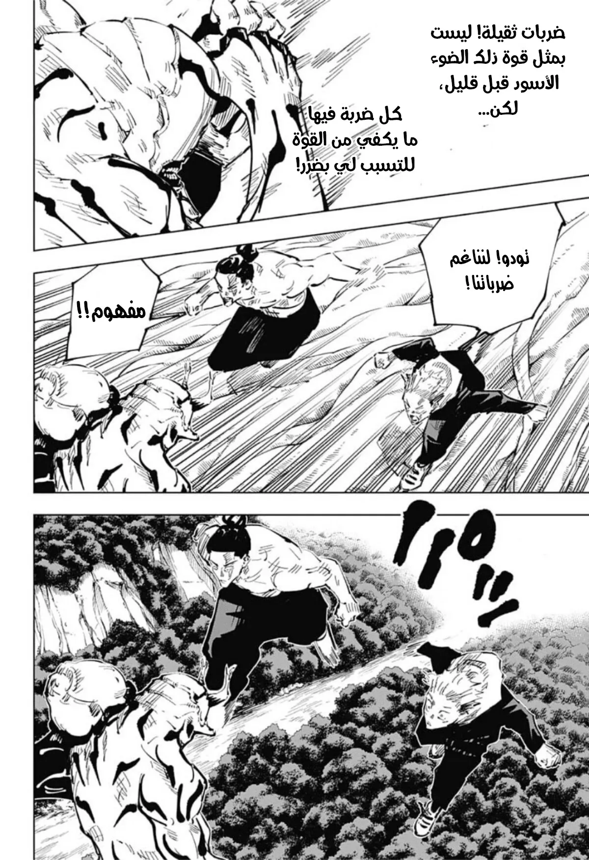 الصفحة 12 من 21