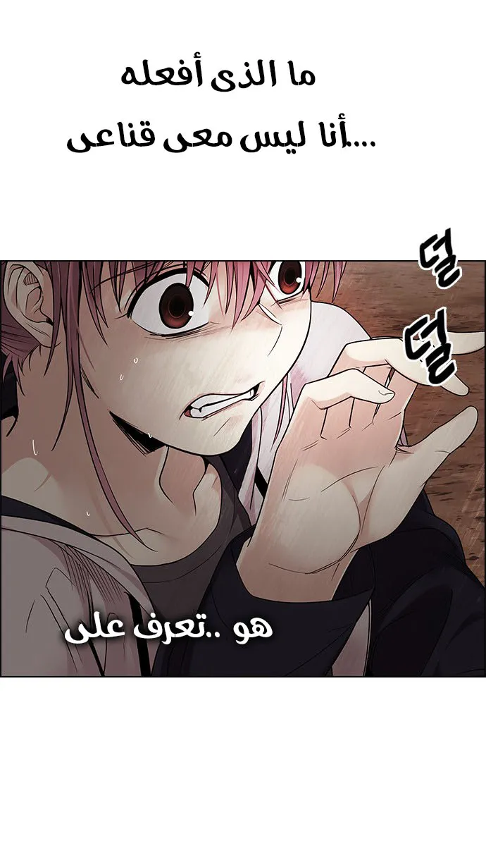 الصفحة 16 من 62