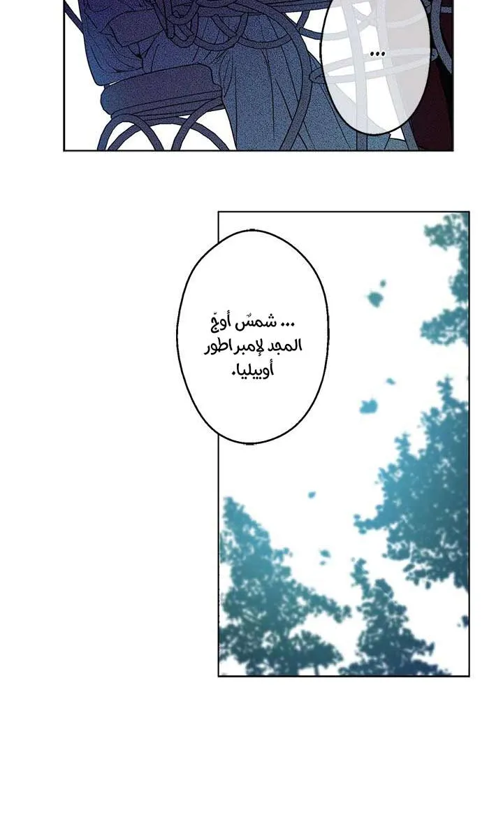 الصفحة 34 من 62