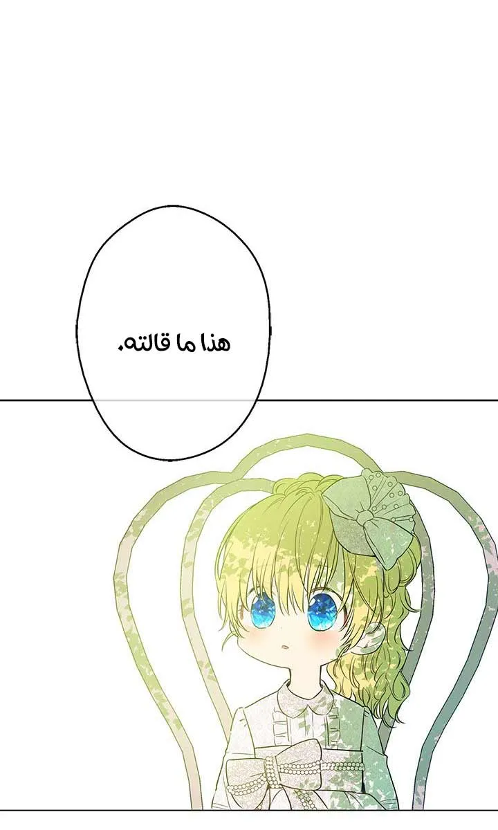 الصفحة 29 من 62