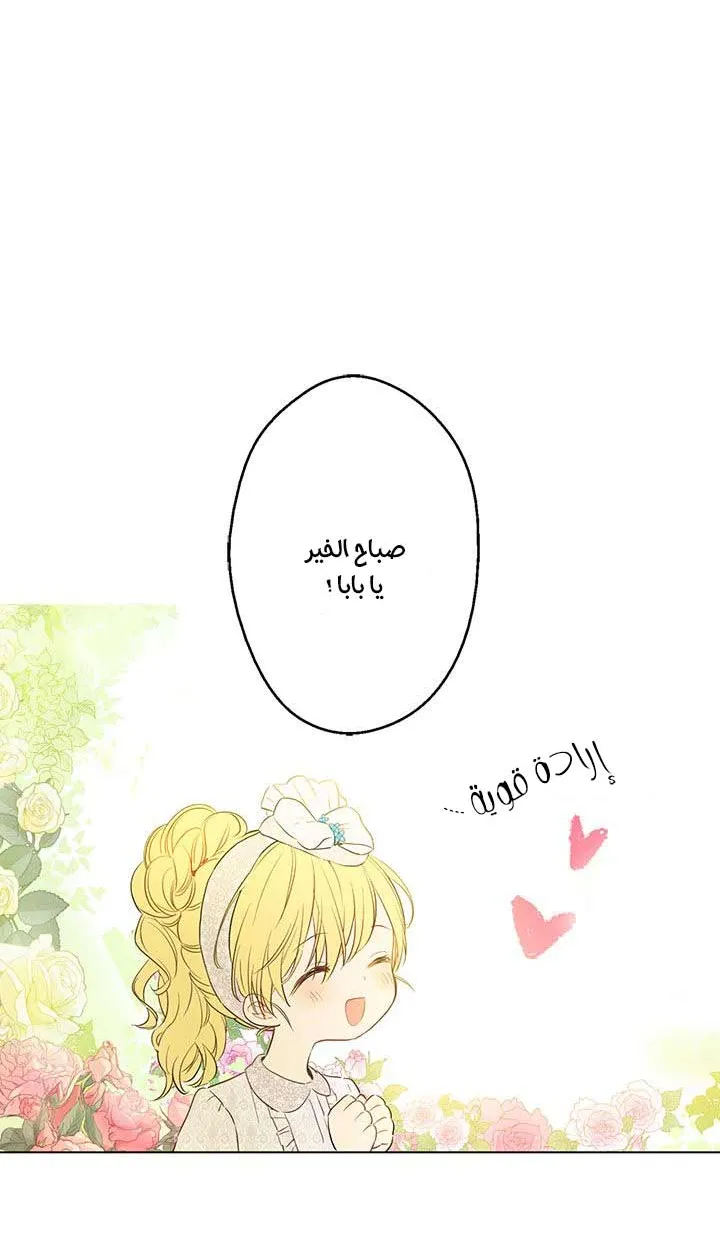 الصفحة 7 من 62