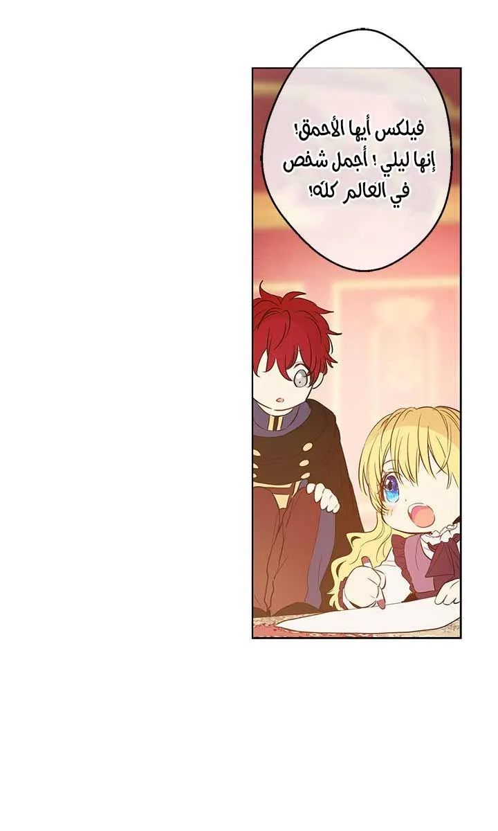 الصفحة 41 من 62