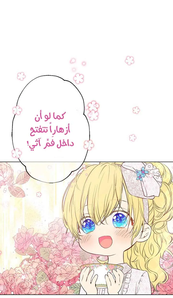 الصفحة 23 من 62