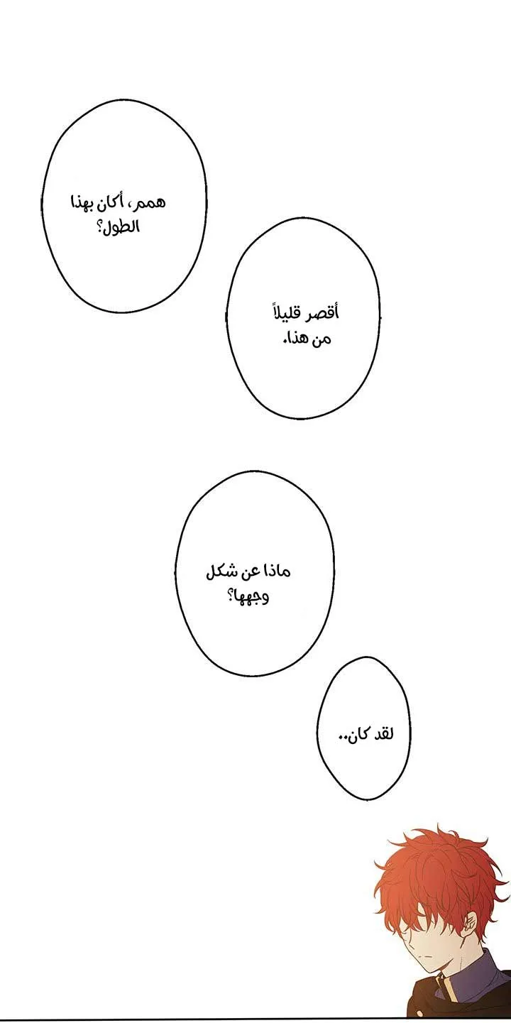 الصفحة 51 من 62