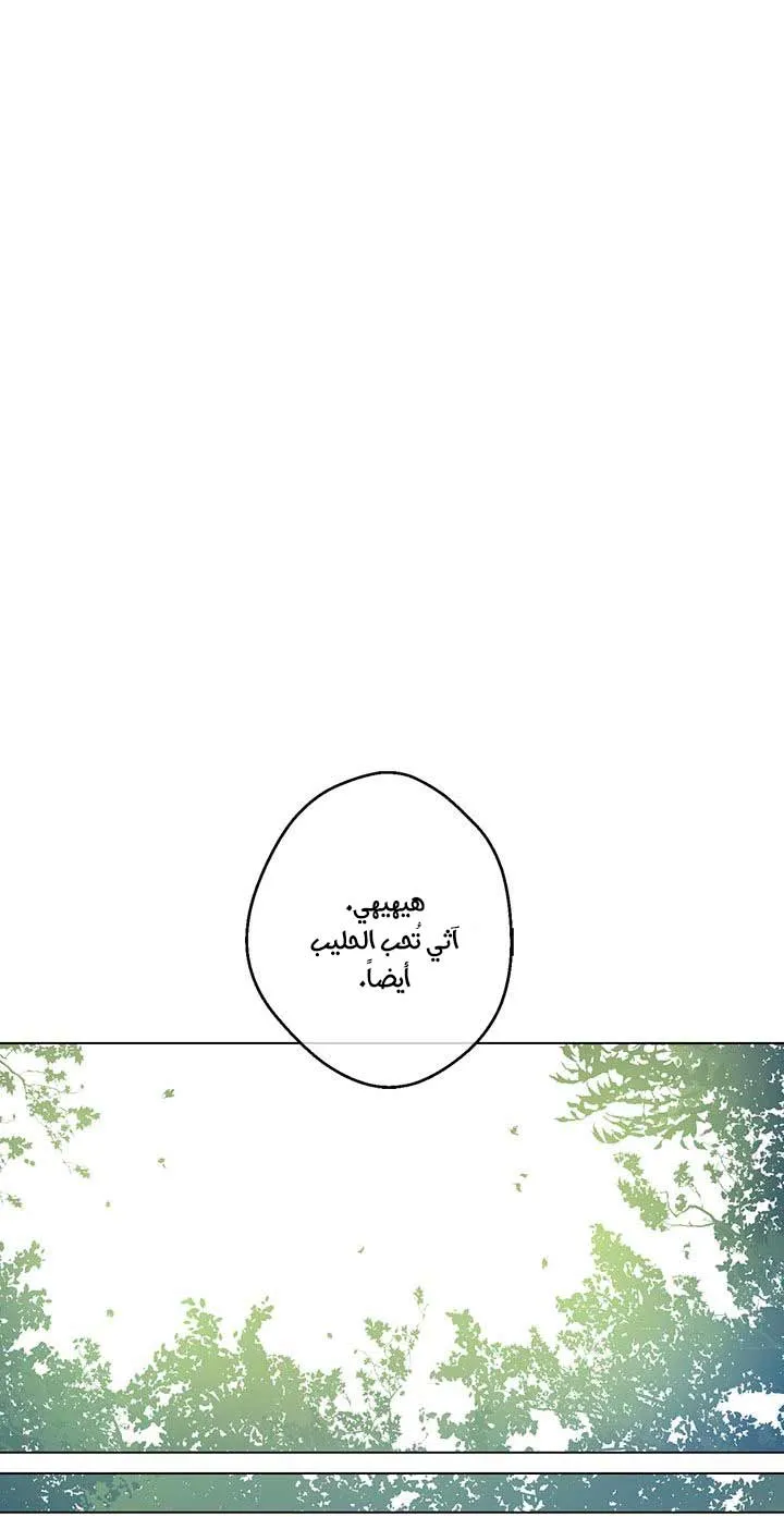 الصفحة 38 من 62