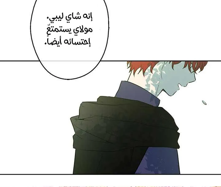 الصفحة 27 من 62