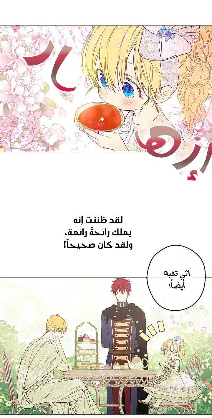 الصفحة 22 من 62