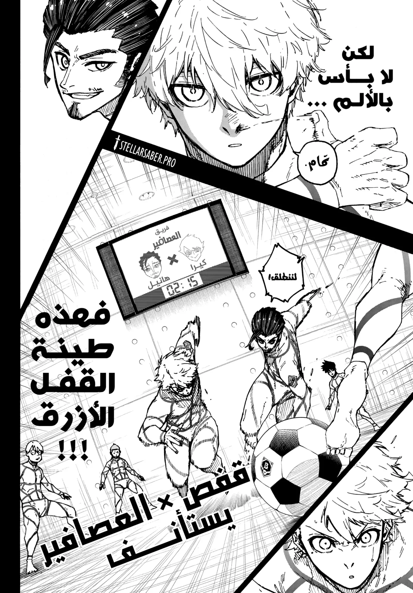 الصفحة 11 من 19