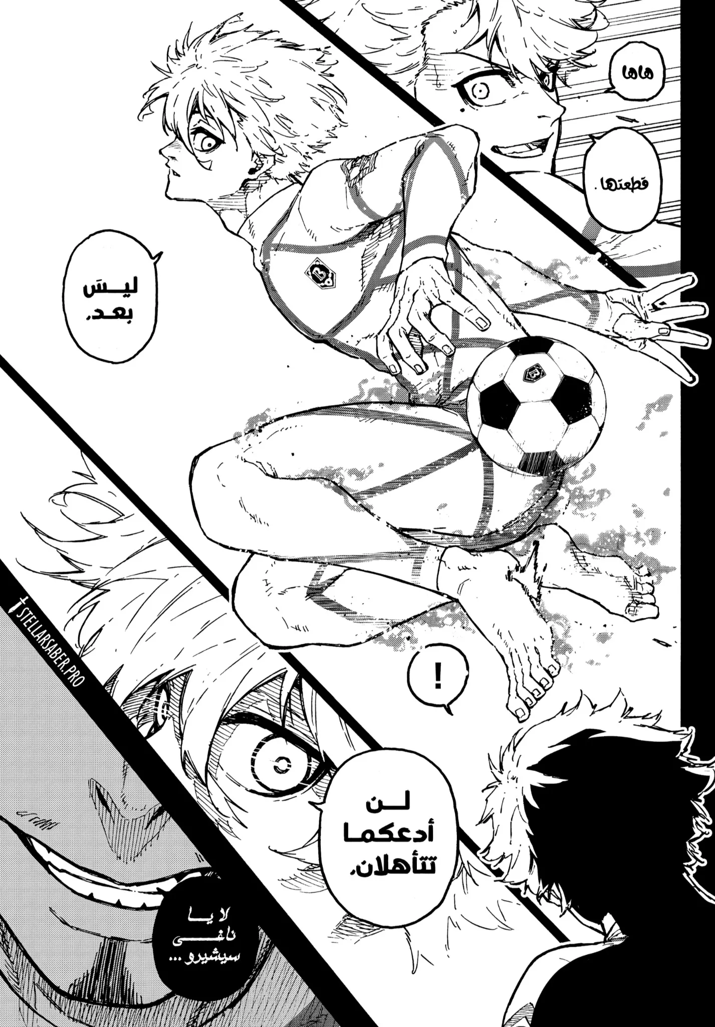 الصفحة 14 من 19