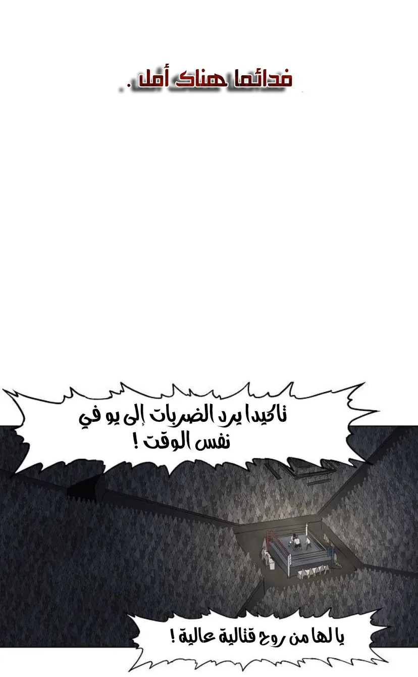 الصفحة 56 من 89