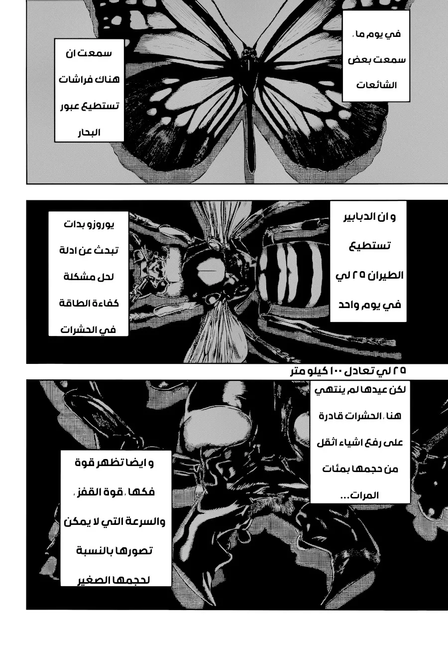 الصفحة 3 من 20