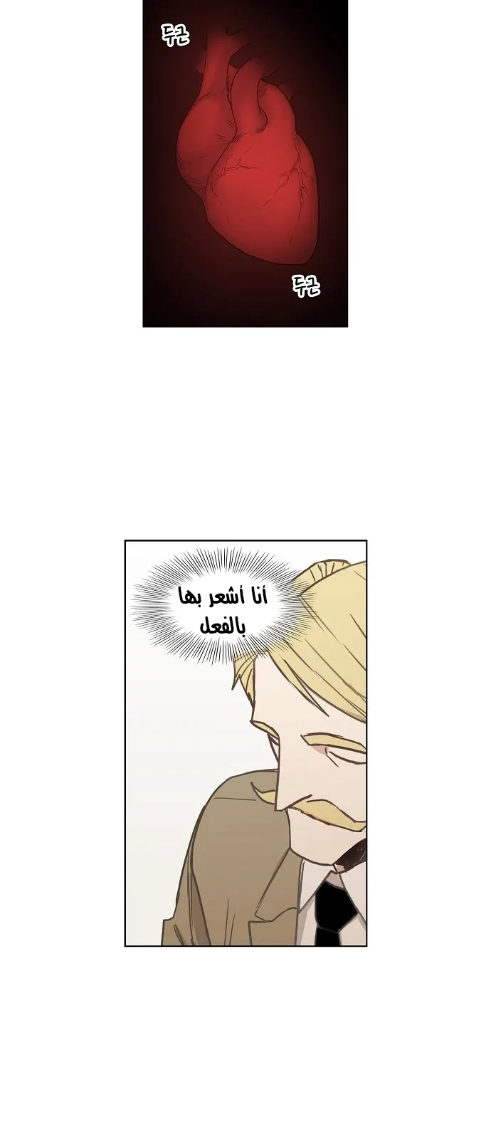 الصفحة 48 من 69