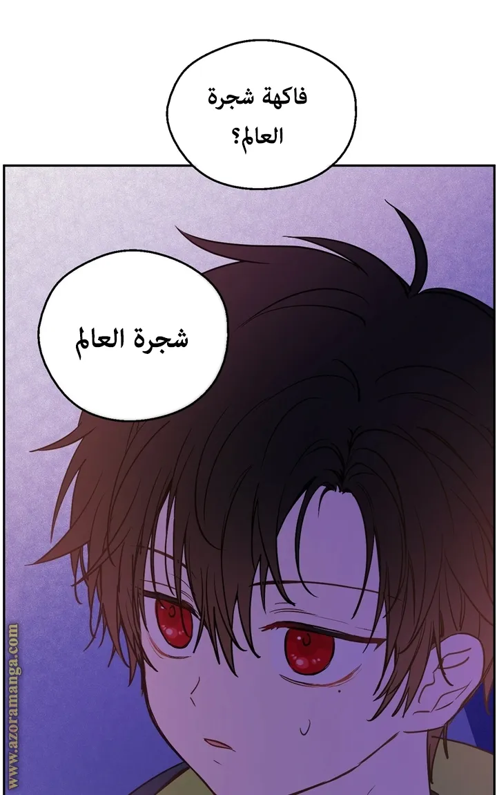 الصفحة 26 من 56