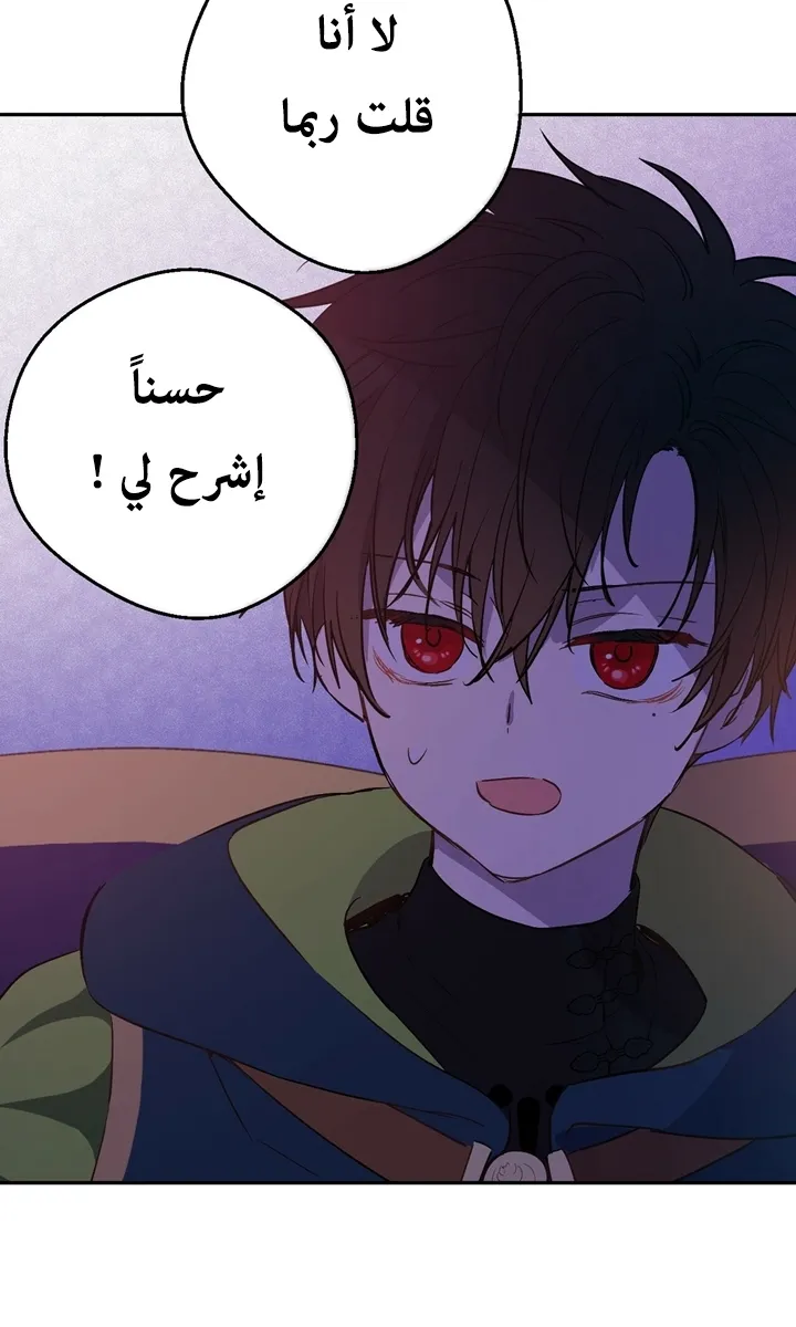 الصفحة 31 من 56