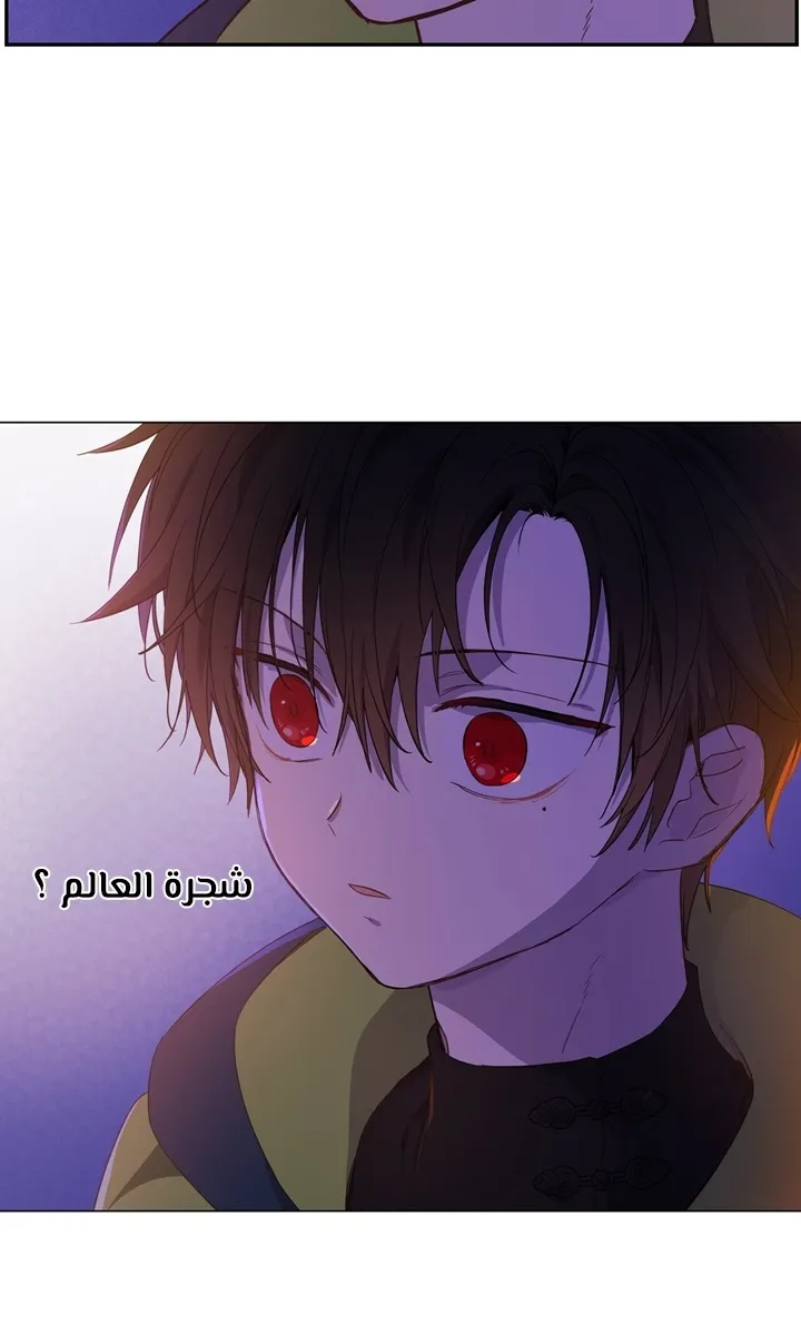 الصفحة 27 من 56