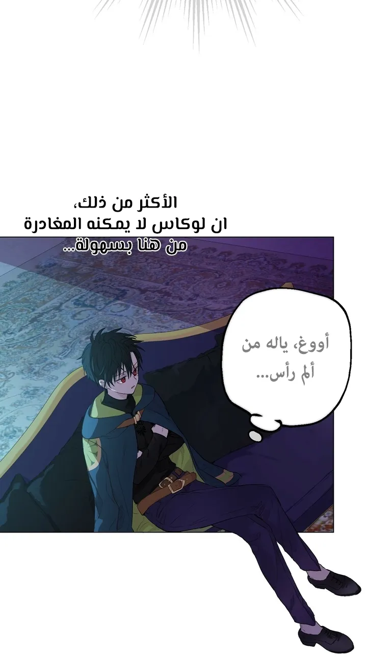 الصفحة 11 من 56
