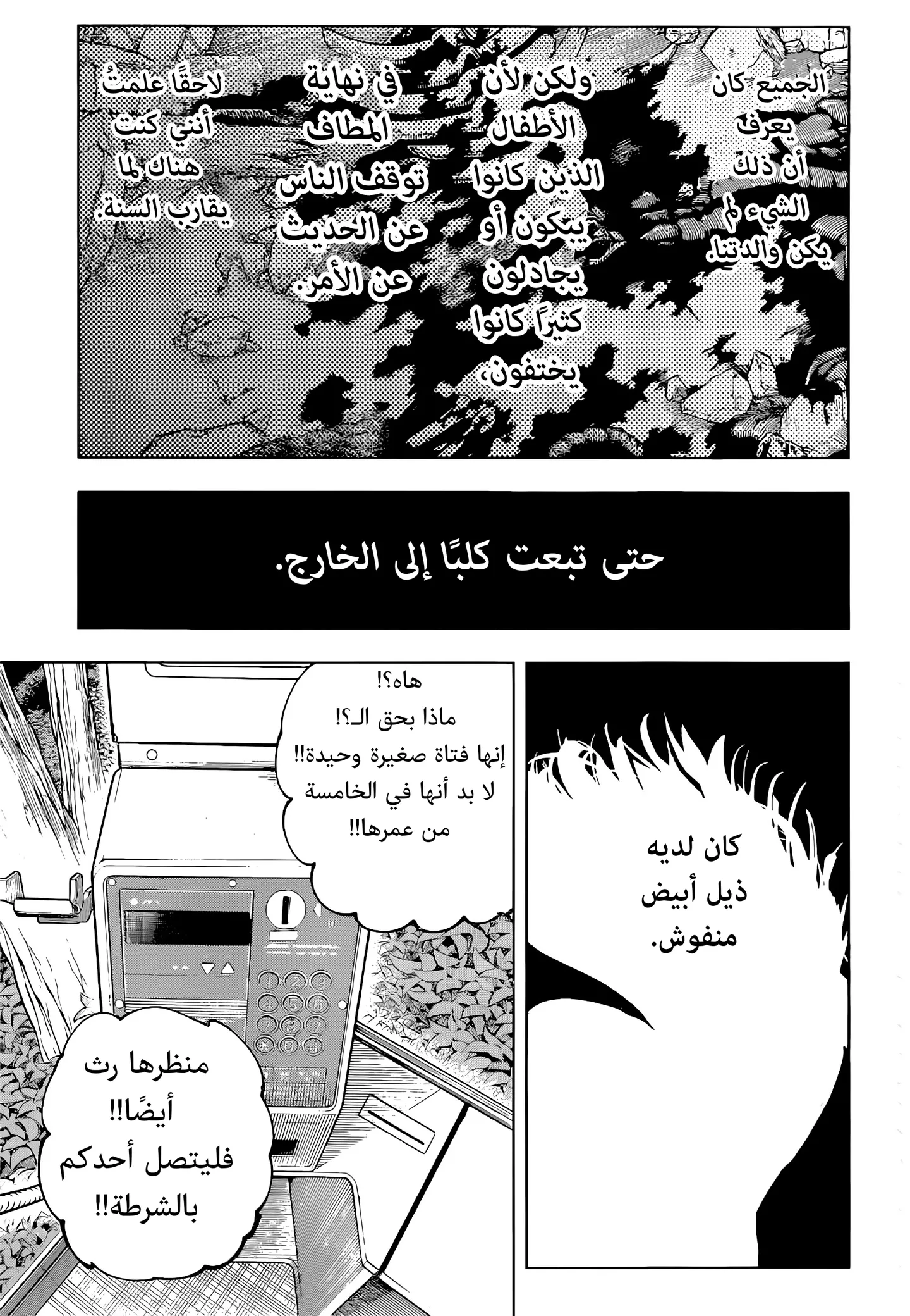 الصفحة 13 من 19