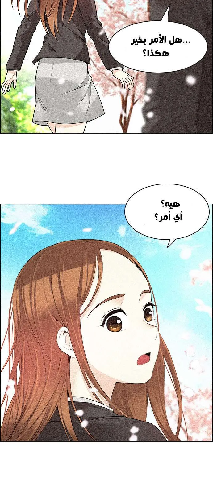 الصفحة 11 من 55