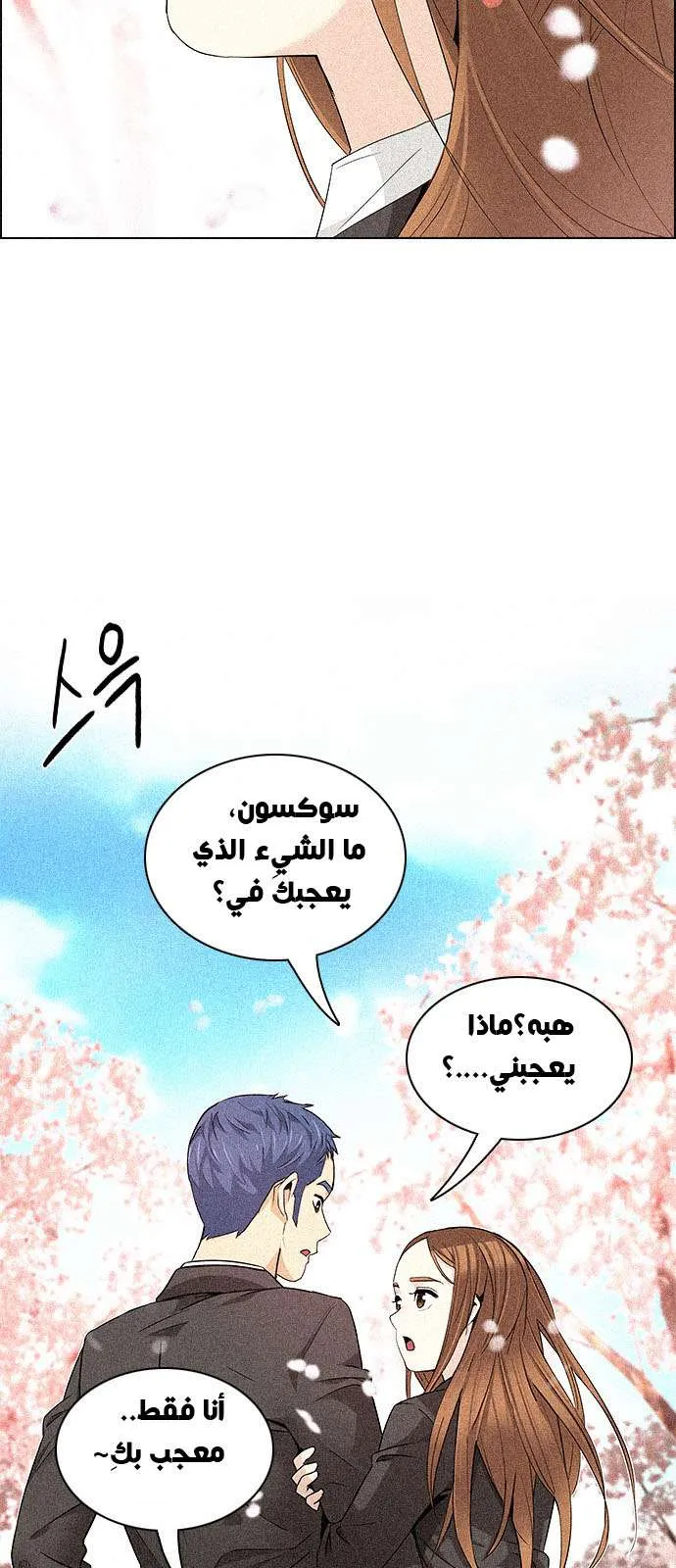 الصفحة 17 من 55