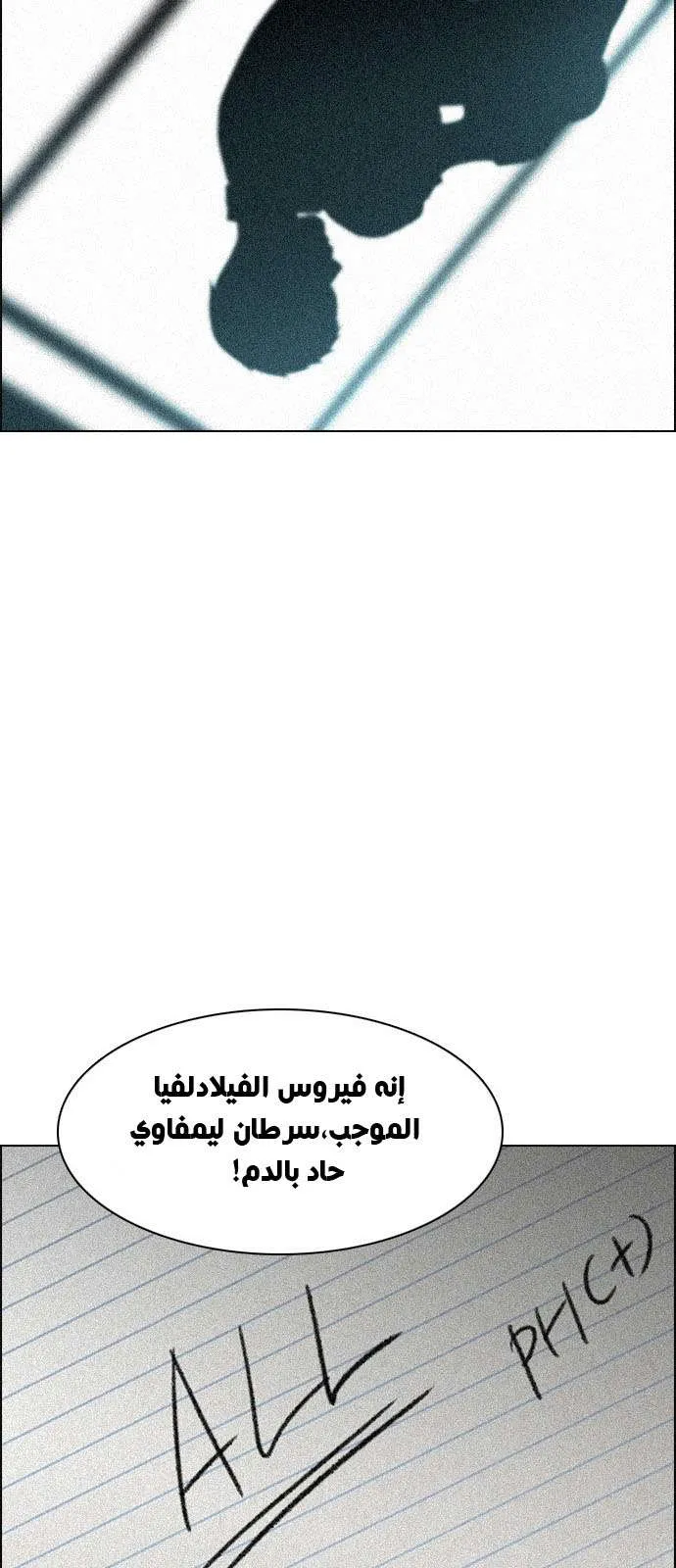 الصفحة 28 من 55