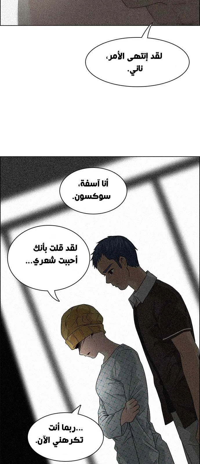 الصفحة 26 من 55