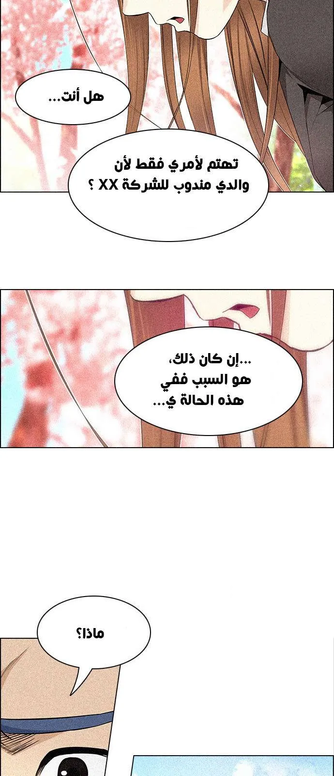 الصفحة 15 من 55